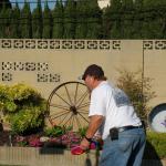 Picnic_DR_027 (July 06, 2019)